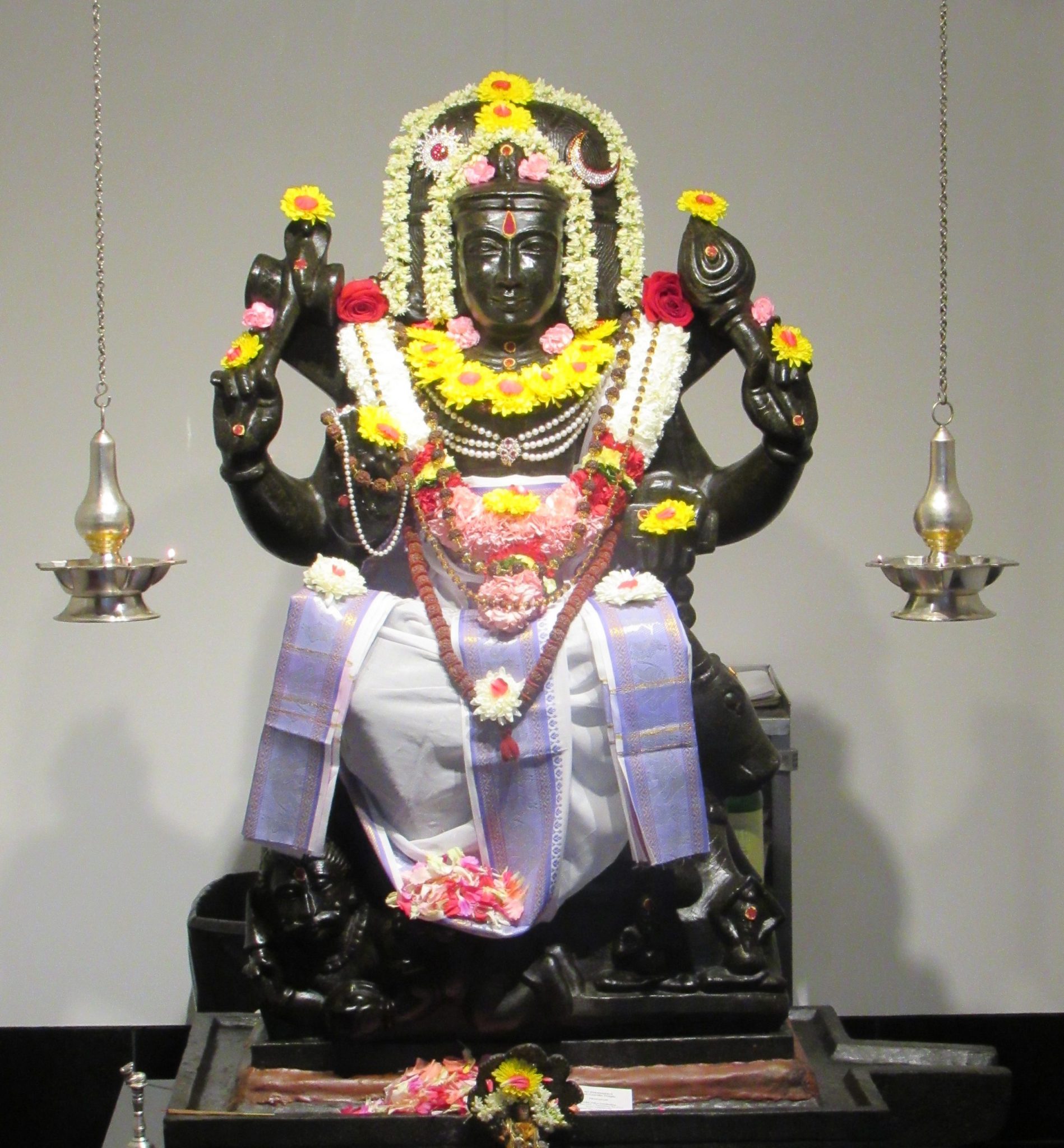 Dakshinamurti_0498 – Arsha Vidya Gurukulam